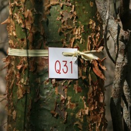 Trail intersections are marked for easy navigation in the Ankoatsifaka Research Station grid system.