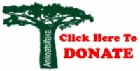 ankoatsifaka donate baobob